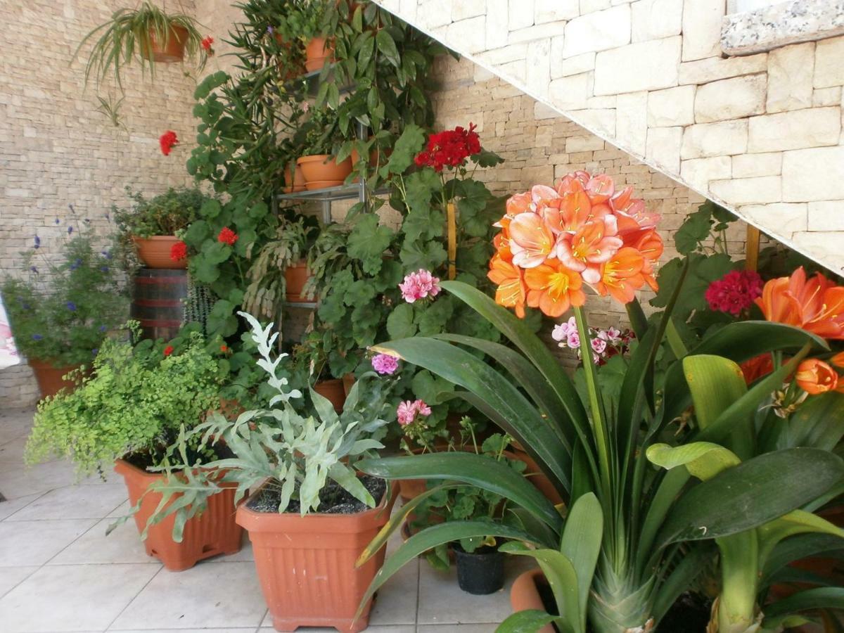 Villa Vrancic Rovinj Bagian luar foto