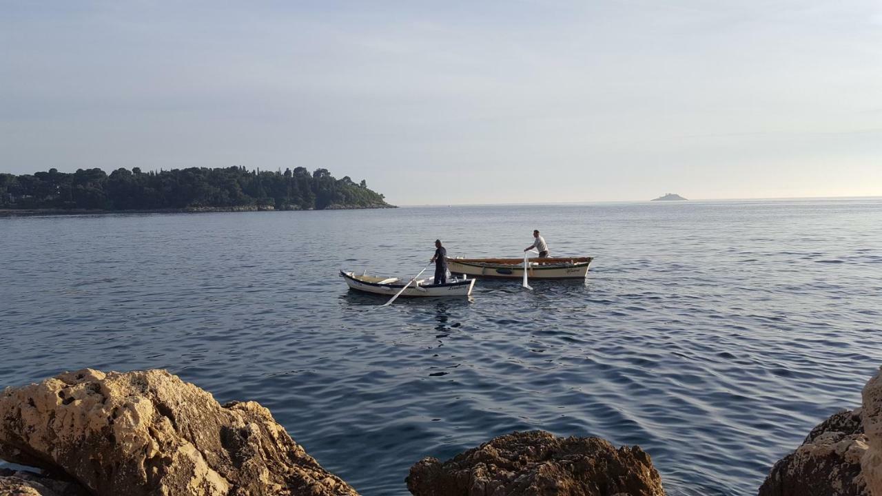 Villa Vrancic Rovinj Bagian luar foto