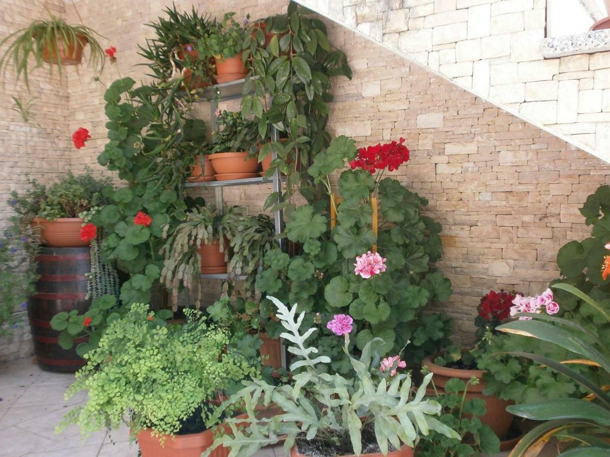 Villa Vrancic Rovinj Bagian luar foto