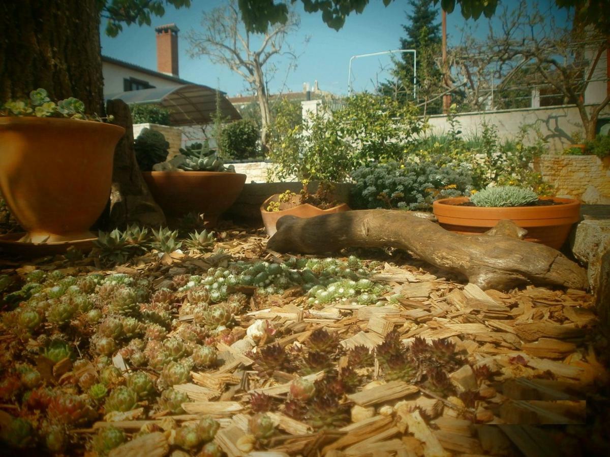 Villa Vrancic Rovinj Bagian luar foto